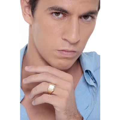 Herren Siegelring aus 18K Gelbgold