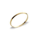 Vorsteckring aus ...