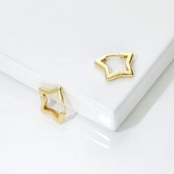 Kleine Stern Ohrringe Gelbgold 18 Karat 2