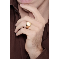 Siegelring Gelbgold 18K Herren  2